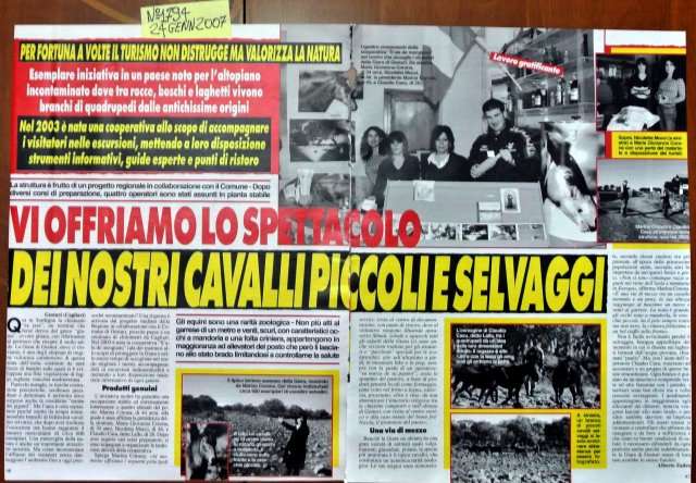 SARDEGNA2007cavallinidellagiara2
